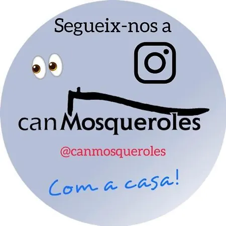 Mosqueroles Casa En Castellfollit De La Roca